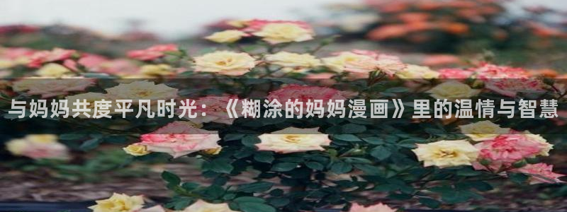 51漫画网站 免费：与妈妈共度平凡时光：《糊涂的妈妈漫画》里的温情与智慧