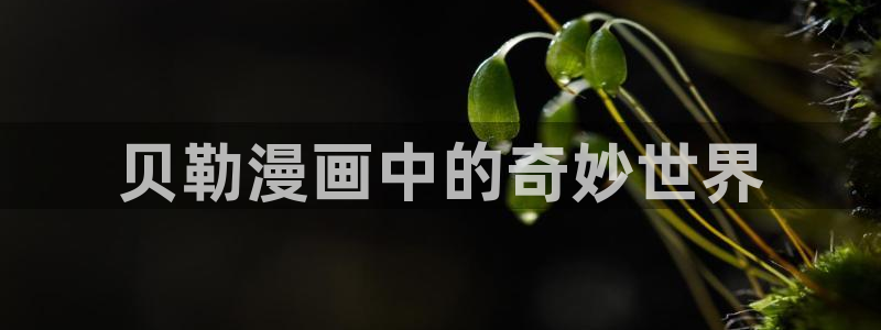 怎样才能看51漫画：贝勒漫画中的奇妙世界