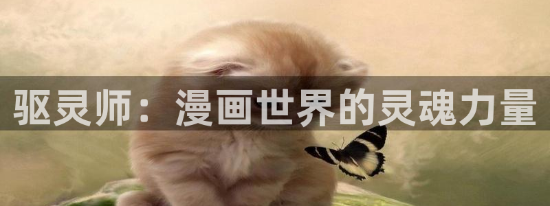 51漫画入口网页在线观看：驱灵师：漫画世界的灵魂力量