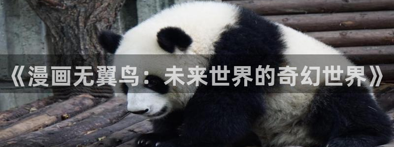 51漫画视频在线观看：《漫画无翼鸟：未来世界的奇幻世界》