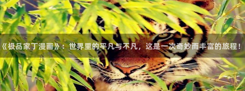 51漫画画免费网站入口：《极品家丁漫画》：世界里的平凡与不凡，这是一次奇妙而丰富的旅程！