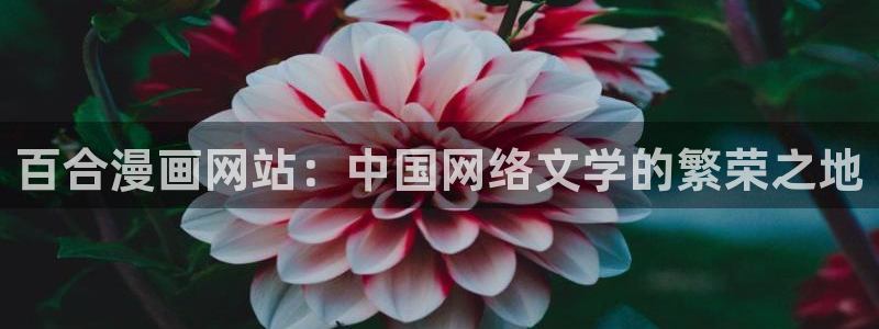 51漫画双女主漫画在哪里可以看：百合漫画网站：中国网络文学的繁荣之地